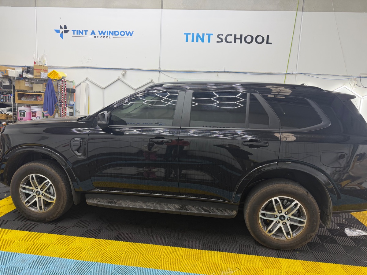 tinting project