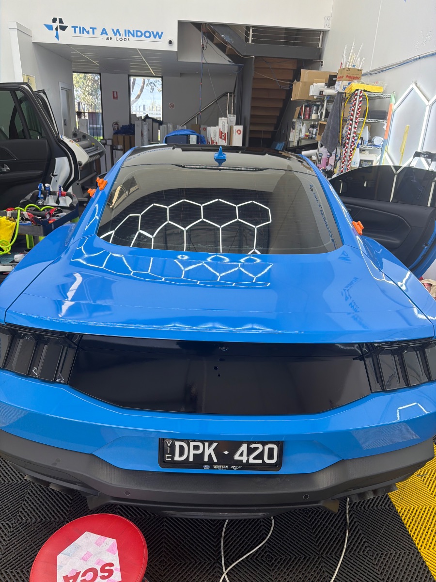 tinting project