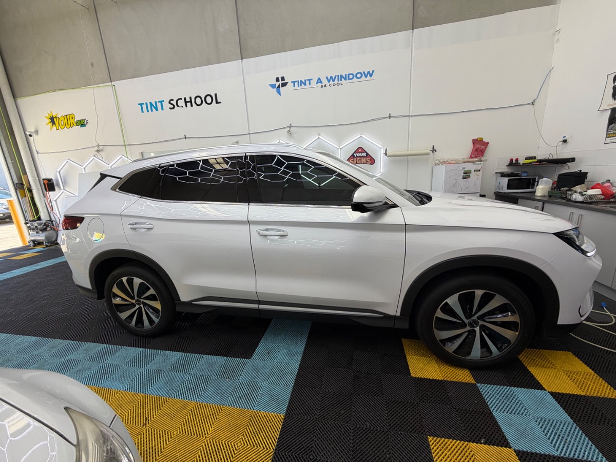 tinting project