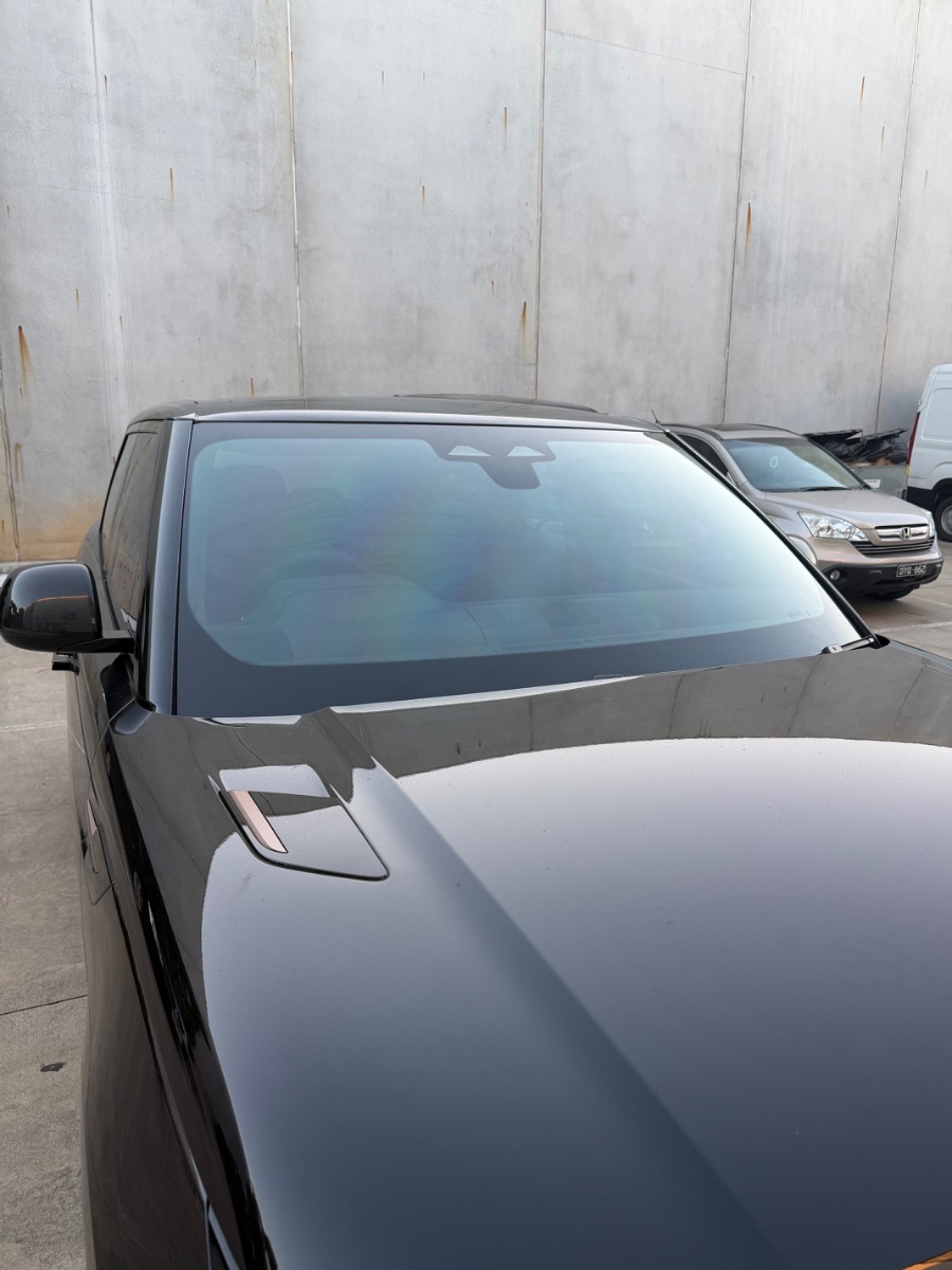 tinting project